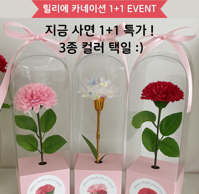 [릴리에] 1+1 시들지 않는 비누꽃 오로라 카네이션 / 어버이날 스승의날 선물세트, 1개, 오로라(1+1)