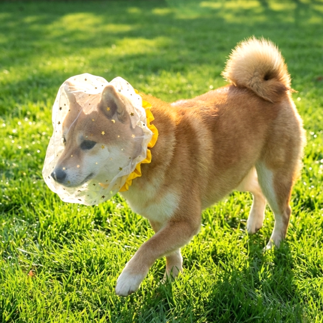 카라몰리 강아지 페이스커버 취식금지 해충 방지 얼굴망, 2개, 노랑