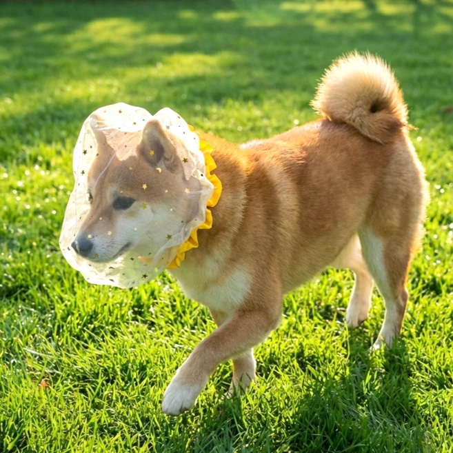 카라몰리 강아지 페이스커버 취식금지 해충 방지 얼굴망, 2개, 노랑 - 쿠팡