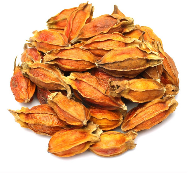 국산 치자열매 치자 1kg (통), 1개