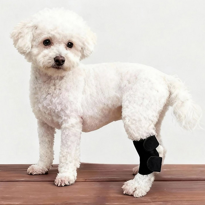 아임펫벳 국산 의료기기 강아지고관절보호대 애견다리붕대, 2개, 블랙_S