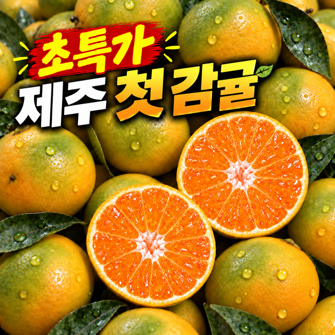 일50박스 제주 햇 노지 감귤, 1박스, 10kg