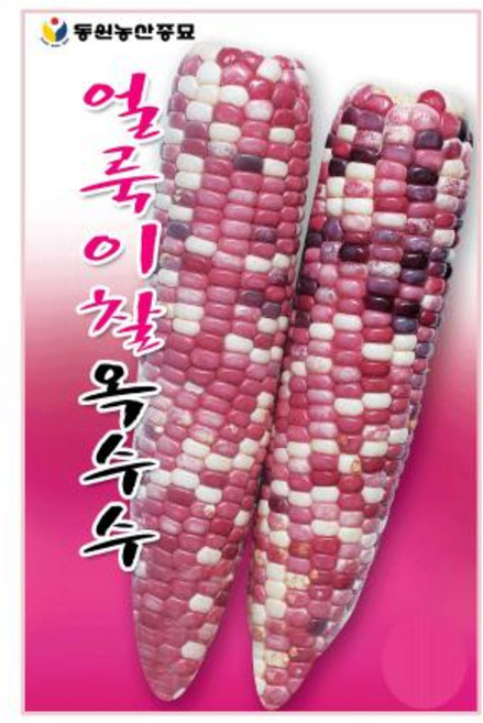 동원 얼룩이 찰 옥수수씨앗 70립 영농사, 2개