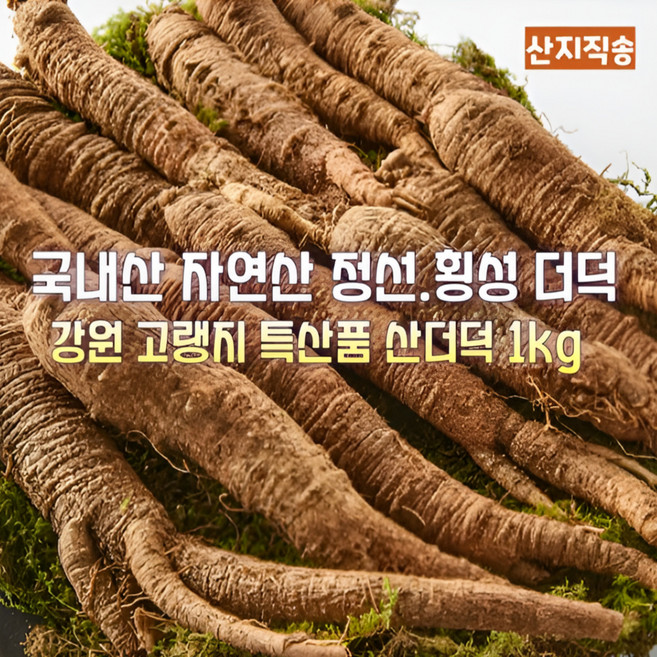 [산지직송] 국내산 자연산 강원도 고랭지 특상품 토종 품질좋은 햇 산더덕 흙더덕 생더덕 재철더덕 선물용 가정용 뿌리채소, 1개, 강원도 고랭지 특상품 토종 햇 산더덕 흙더덕 1kg