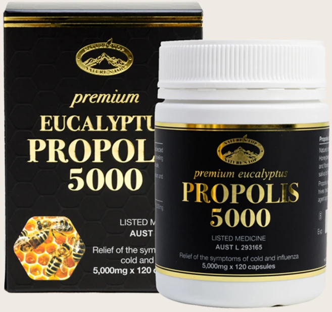 네이쳐스탑 프리미엄유칼립투스 프로폴리스 5000mg 120정, 1개 - 쿠팡