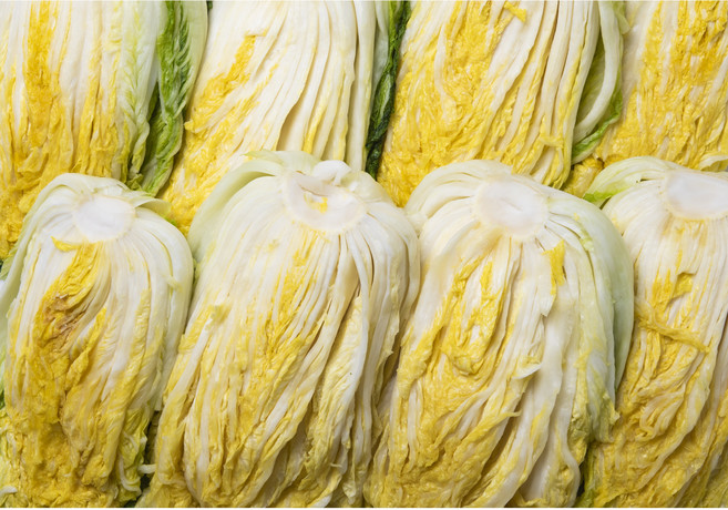 강원도 고냉지 절임배추, 12월16일(화), 1박스, 20kg