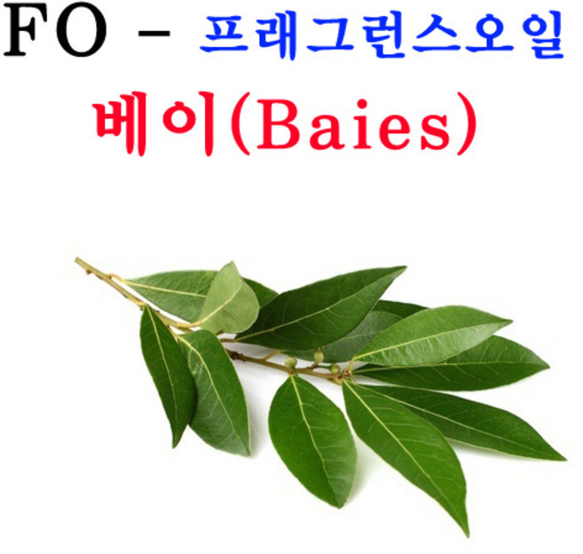 코리아씨밀락 프래그런스오일 베이, 프래그런스오일 베이 100ml, 1개