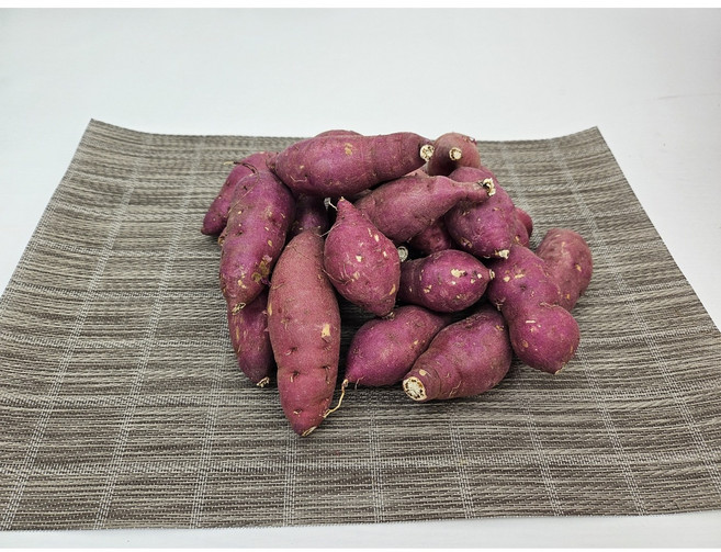 세척 꿀밤고구마(베니하루카), 1개, 중 10kg