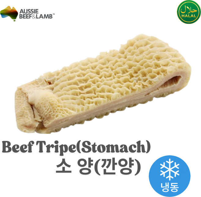 Aussie Halal Beef Tripe Cleaned Stomach Frozen 호주산 할랄 소양 (깐양) 냉동, 1개, 1kg