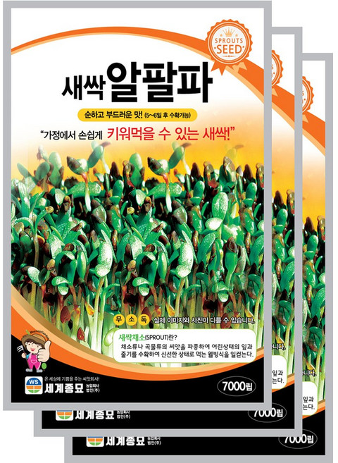 새싹알팔파 씨앗 7000립 새싹씨앗 세계종묘 모칸도, 3개