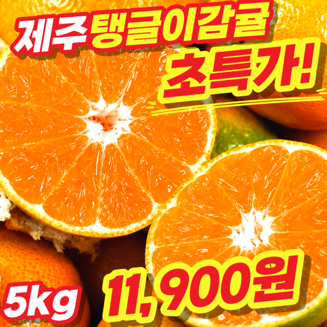 [200개특가] 제주감귤 산지직송 서귀포 감귤, 1개, 곧마감_5kg_(오늘특가!