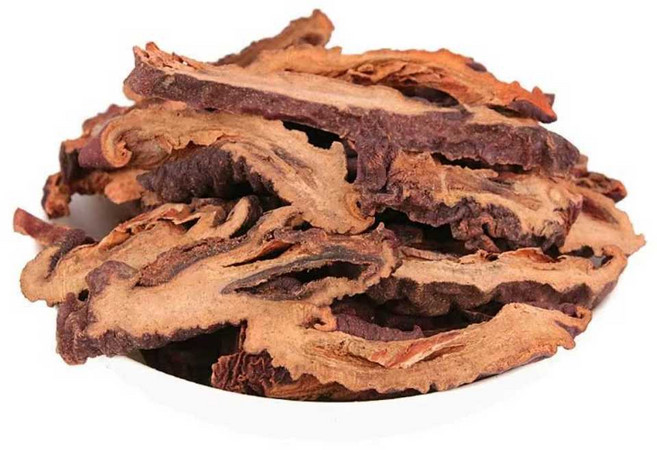 동인당 명자나무 열매 추피모과, 1개, 1kg