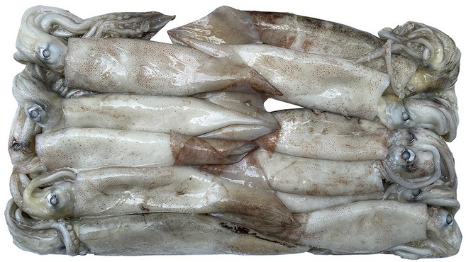 힘찬푸드 냉동오징어 3kg 선도A급 마트납품용, 1박스