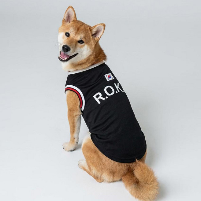 말랑마쥬 반려동물 커플티 코리아 로카티 아미 해병대 강아지옷 고양이옷, 1개, 로카티 [반려동물]