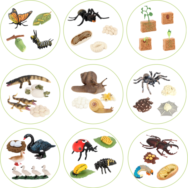 제트피규어 16종 성장 성장과정 동물 곤충 한살이 피규어 개구리 개미 거미 나비 달팽이 사슴벌레, 1. 개구리, 1개