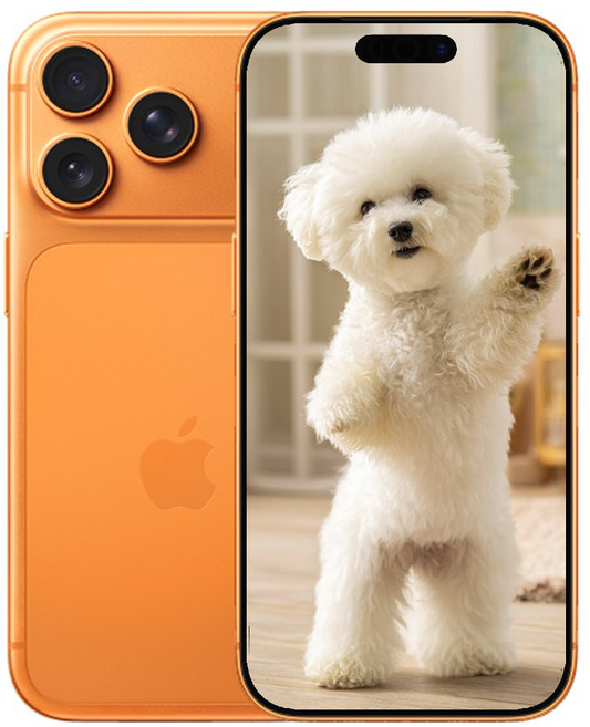 i폰17 Pro 미개봉 새상품, 256GB, 옵션명 아이폰 코스믹오렌지