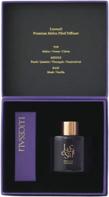 루체살리 고급 차량용방향제 선물 명품 백화점 자동차 디퓨저, 멜론필드 100ml, 2개