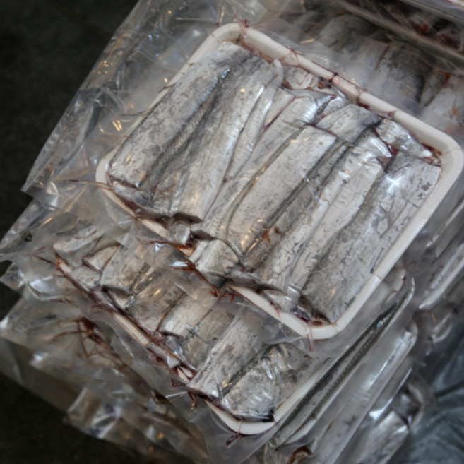 촌놈 목포 먹갈치 풀치, 1박스, 1KG