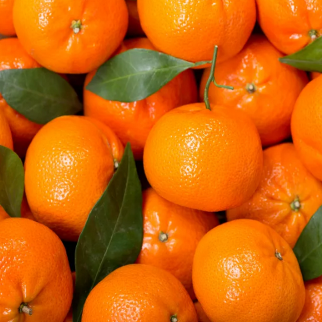 [산지맛그대로]항공직송 캘리포니아 고당도 명품 만다린, 1박스, 1kg