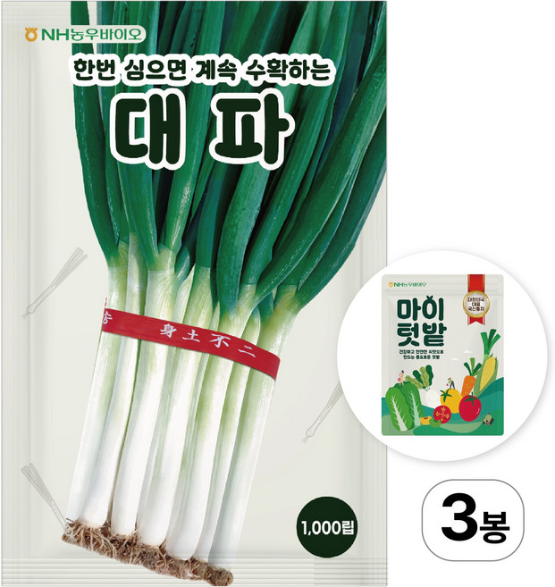 NH농우바이오 한번 심으면 계속 수확하는 대파 씨앗 종자 1000립, 3개