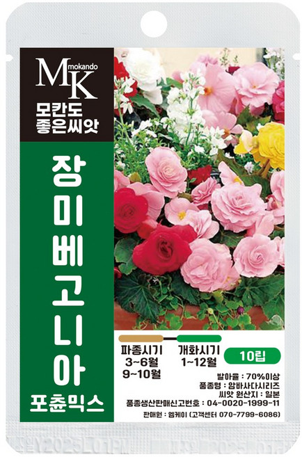 6위 - 모칸도 좋은씨앗 장미베고니아 씨앗 10립 포츈믹스 혼합 꽃씨 꽃씨앗, 1개
