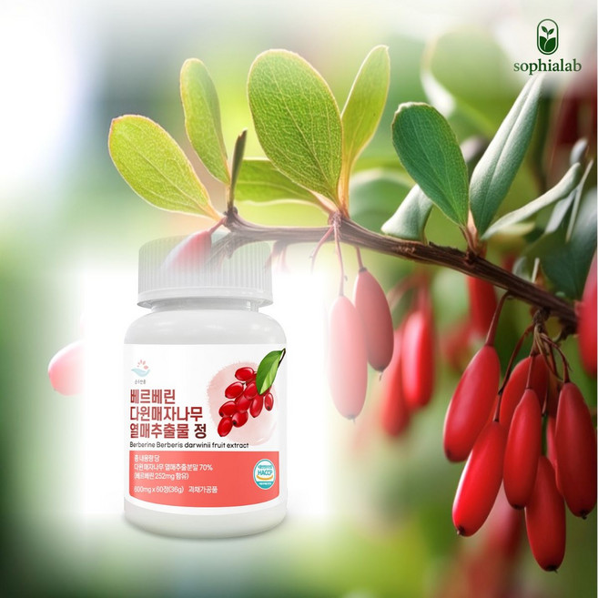 소피아랩 베르베린 혈당관리 다윈매자나무 열매추출물 정 600mg, 3개, 60정