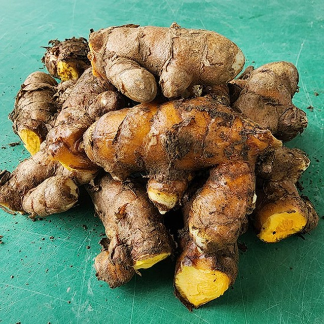 흙울금 종자용 2kg