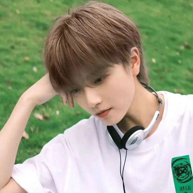 Lavitree 손쉬운 스타일링 자연스런 편한 남성가발, 1개, 라이트 브라운