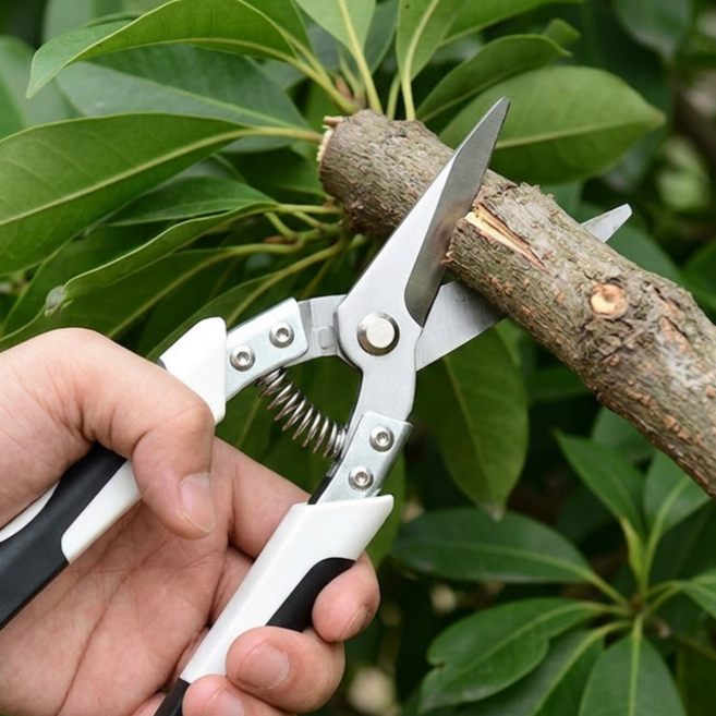 리빙스타일 고강도 원예 조경 전지 가위, 1개