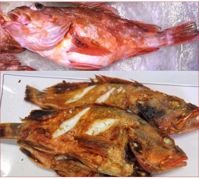 반건조 쏨팽이 쏨뱅이1kg 쏨팽이 황돔 반건조생선(예약주문상품), 1개, 반건조쏨뱅이 (대) 1kg (2~4마리내외)