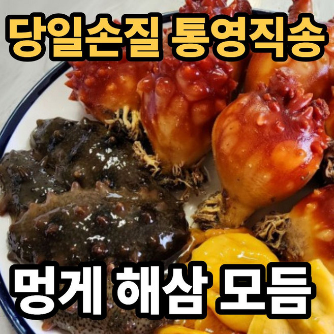 [통영직송] 활 멍게 활 해삼 모듬세트, 1세트, 멍게 1kg + 해삼 500g