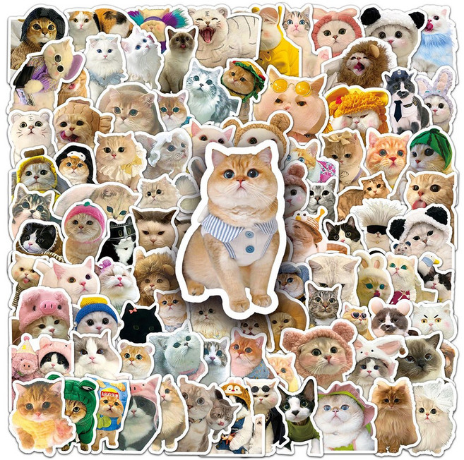 치명적인 매력의 고양이 냥이 100마리 모음 스티커 폰꾸 다꾸 노트북 방수 스티커 100P, 1세트