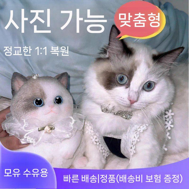장인이 만든 핸드메이드 맞춤 제작 고양이 말랑이 스쿼시, 주문제작(문의필수)