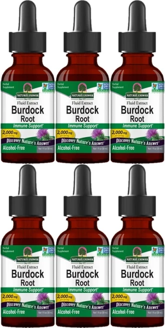 네이처스앤서 고흡수 우엉 뿌리 2000mg, 6개, 30ml - 쿠팡