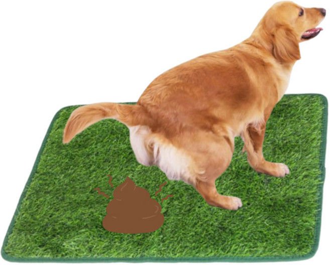 멍냥스토리 잔디 배변판 소변매트, 1개, 배변훈련