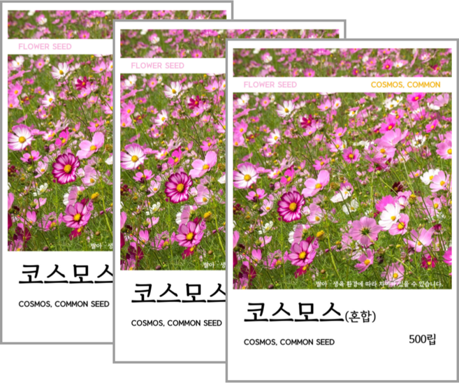 새싹바라기 코스모스(혼합) 씨앗 500립, 3개