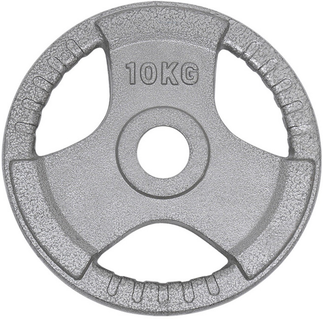 이고진 클럽용 주물 바벨 원판 10kg 2개 51D 역기 운동 웨이트, 실버