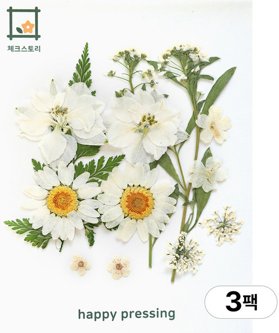 체크스토리 압화 컬러가든시리즈 누름꽃 꽃송이 압화재료 공예, 퓨어화이트13(3팩), 화이트