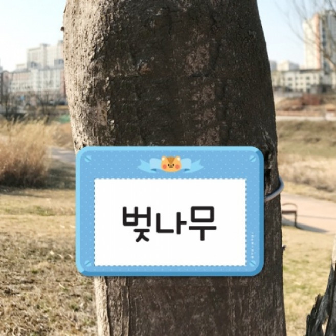 [루미루미/마그넷보드] 수목표찰 (나무이름표) 사각형 1ea, 핑크