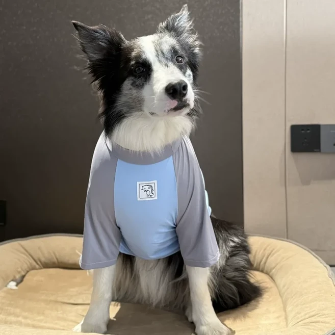 大型犬 夏季冰絲涼感防曬衣, 插肩袖藍身灰袖, 1個