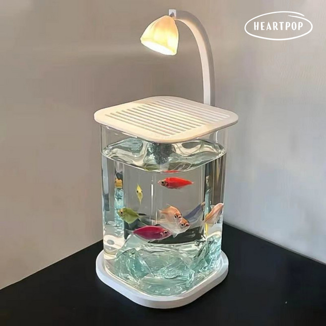 하트팝 미니 수족관 작은 어항 세트 마리모 구피 베타 새우 키우기 물멍, 화이트, 1개