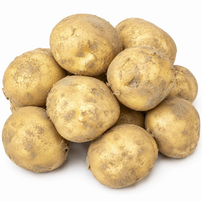 국내산 강원도 수미 감자 햇감자, 1개, 10kg (대)
