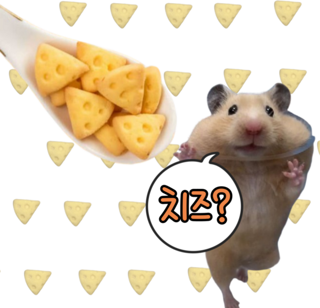 (best) 햄스터 치즈 간식 이갈이 쿠키, 1개, 8g