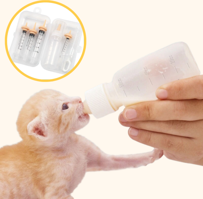 스타캣 반려동물 젖병 세트 고양이 강아지 수유주사기 실리콘 젖꼭지 세척솔 포함, 1세트, 베이지