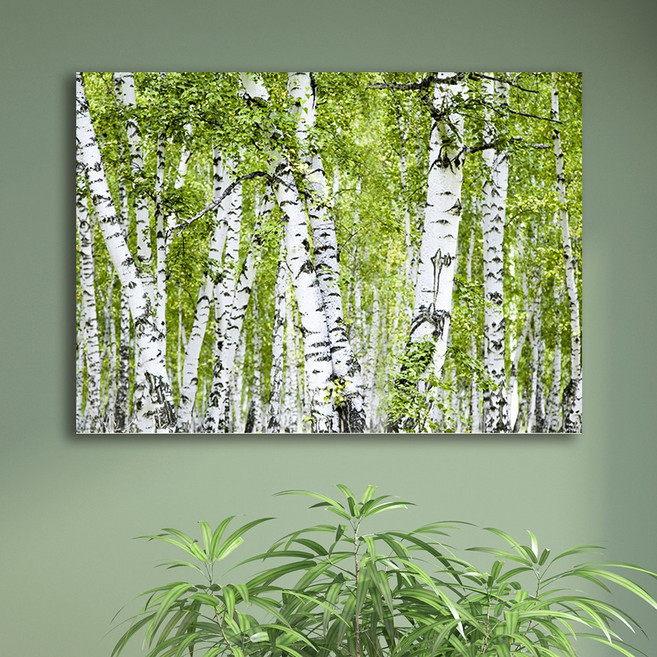 화색갤러리 인테리어액자 자작나무 노프레임 캔버스 그림 액자, 02자작나무, 1개