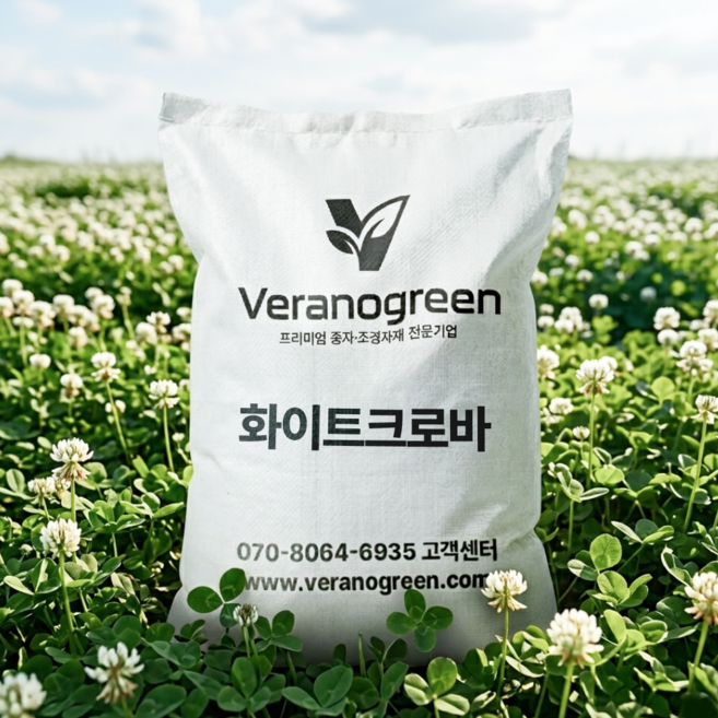 크로바(화이트)1kg 야생화 씨앗 종자, 1개