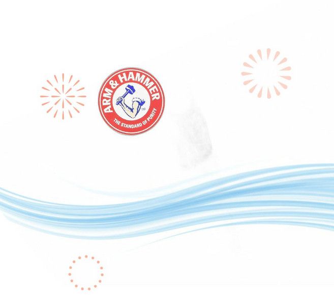 Arm Hammer 암앤해머 탈취제 고양이 모래 베이킹소다 567g 4개 WU