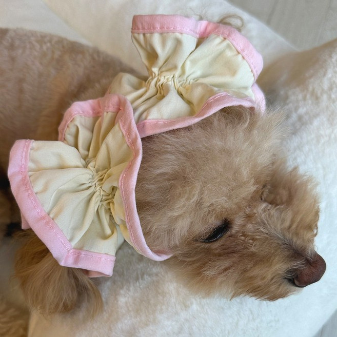 아엠댕댕 프릴체크 이어슈슈 강아지 귀통풍 스누드 염증밴드 귓병예방, 1개, 핑크라인,