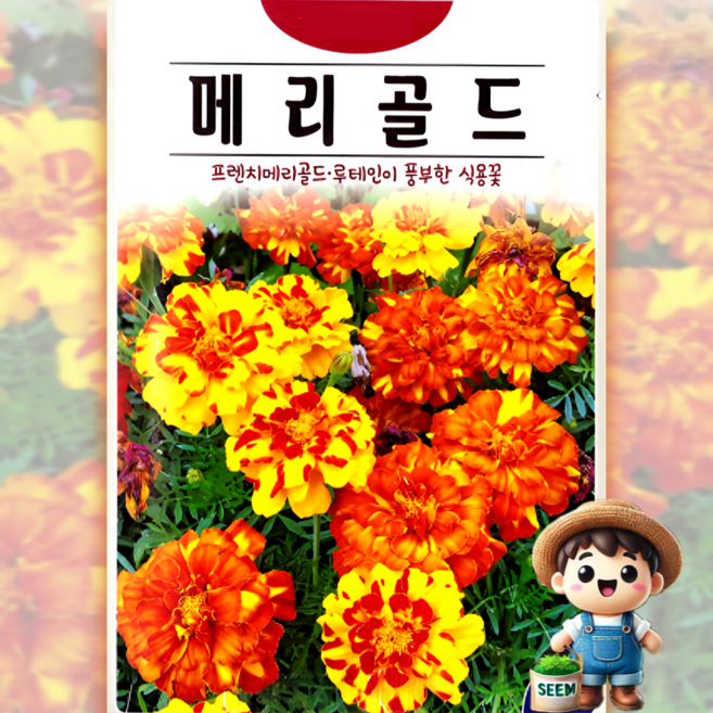 KS종묘 메리골드 100립 루테인 홀꽃 식용꽃 일년생 꽃씨 씨앗 종자, 1개