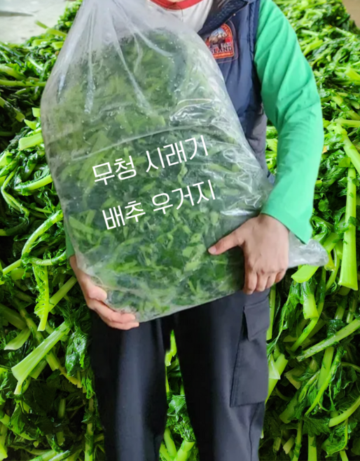 국산 무청시래기 시래기 전용무청 냉동 업소용 대용량, 10kg, 1개
